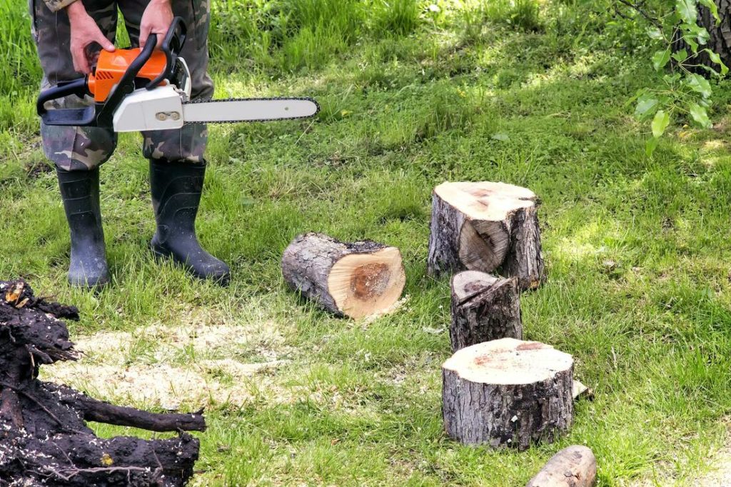 Juno Beach-Palm Beach County Tree Trimming and Tree Removal Services-We Offer Tree Trimming Services, Tree Removal, Tree Pruning, Tree Cutting, Residential and Commercial Tree Trimming Services, Storm Damage, Emergency Tree Removal, Land Clearing, Tree Companies, Tree Care Service, Stump Grinding, and we're the Best Tree Trimming Company Near You Guaranteed!