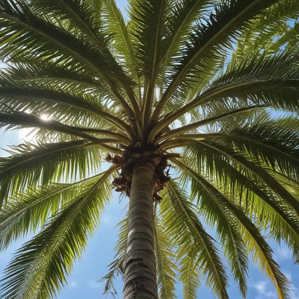 Combating Invasive Pests: Protecting Palm Beach County’s Tree Canopy