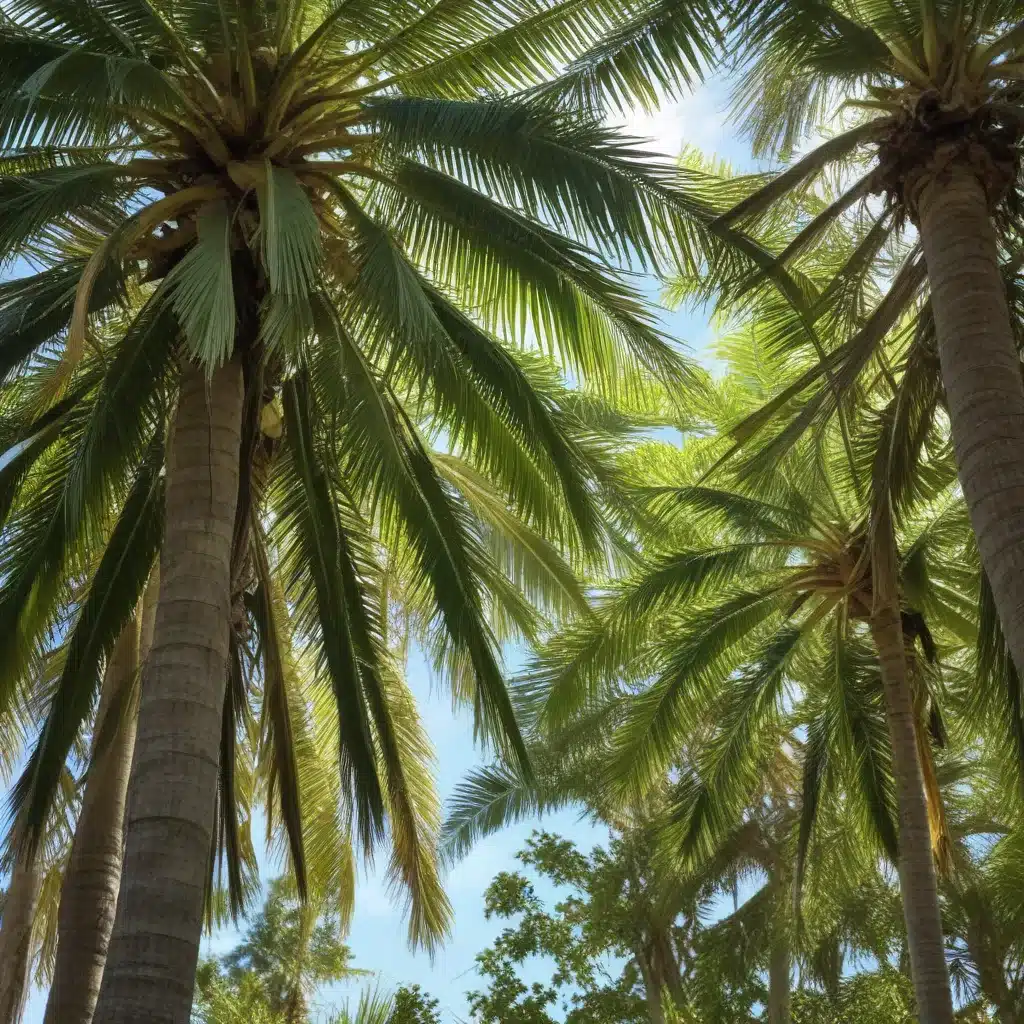 Eco-Friendly Tree Maintenance: Preserving Palm Beach’s Green Spaces