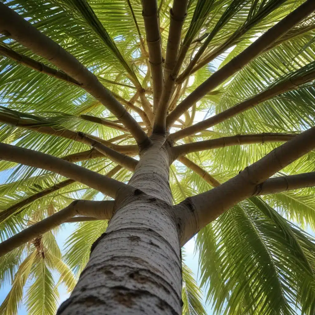 Nurturing Nature: Sustainable Tree Maintenance Techniques for Palm Beach