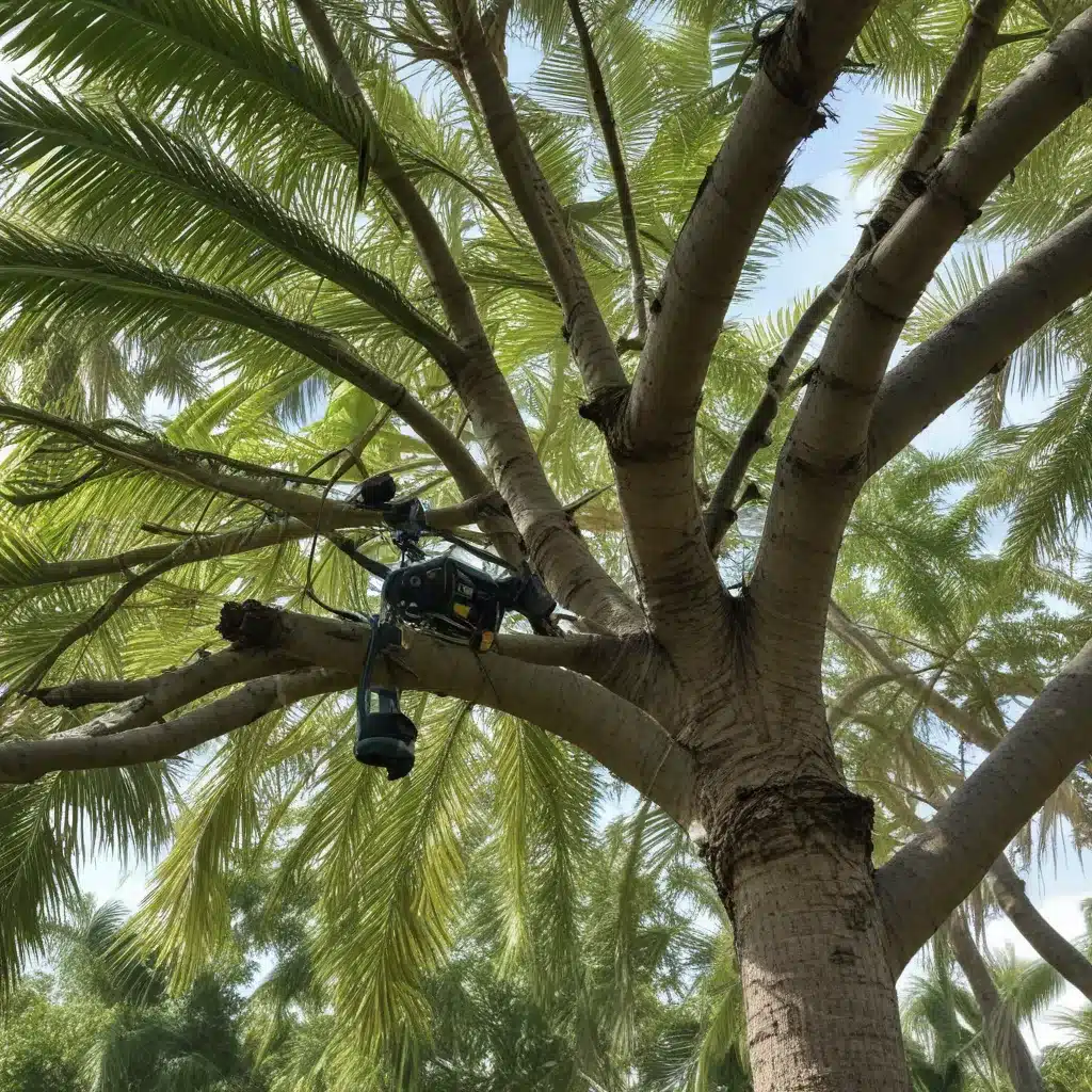 Pruning Practices for Thriving Trees in Palm Beach