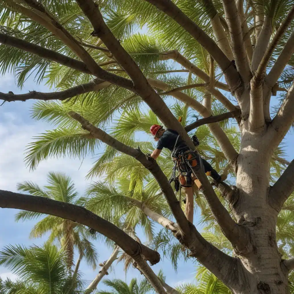 Pruning Precision: Optimizing Tree Health in Palm Beach Landscapes