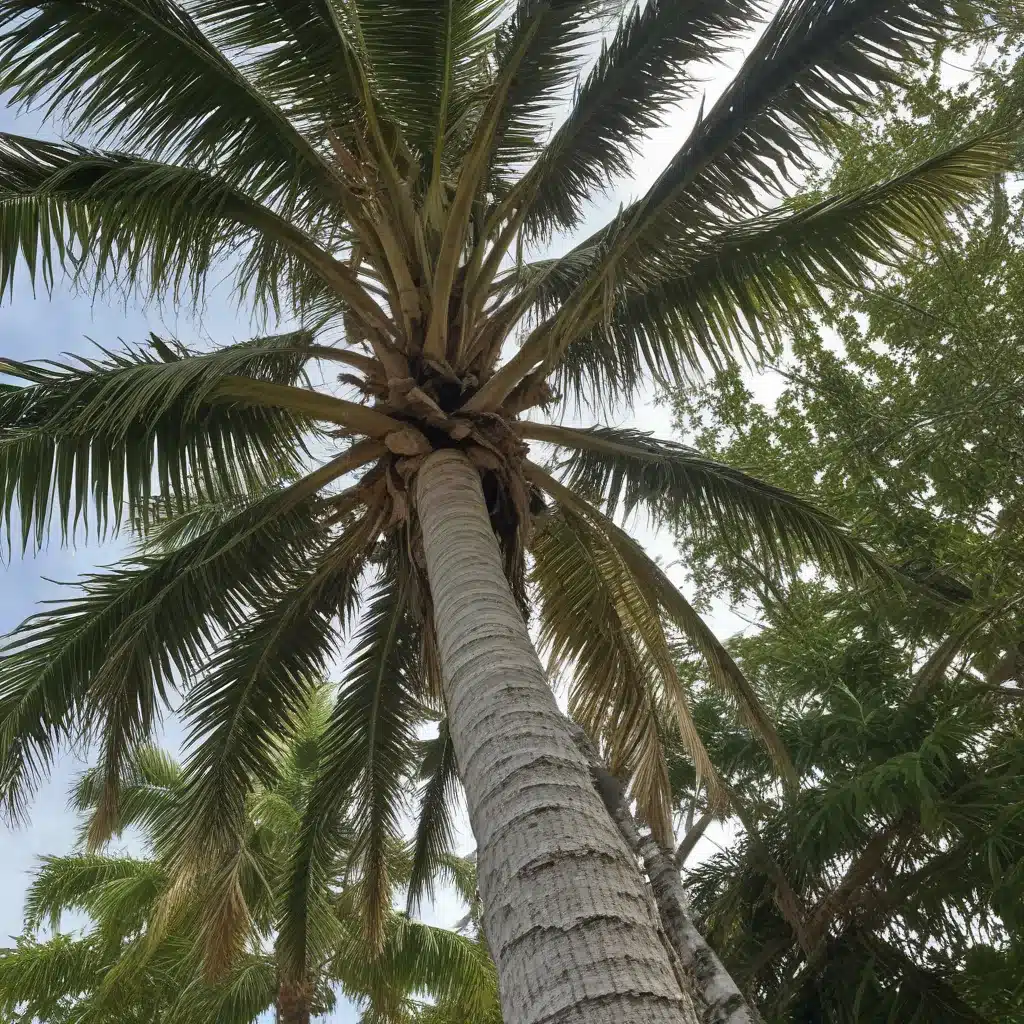 Safeguarding Palm Beach Properties from Storm-Damaged Trees