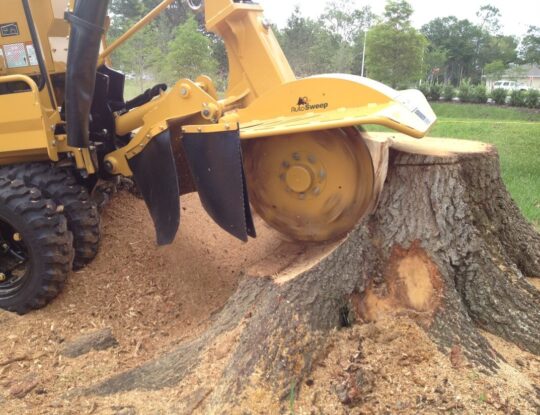 stump-grinding-540x415